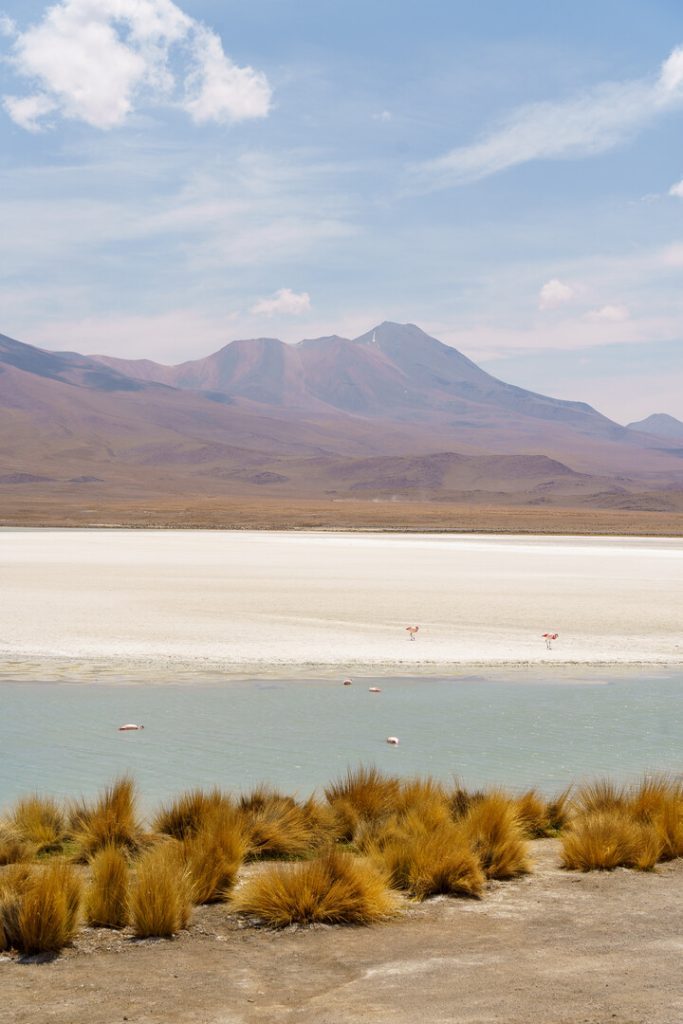 bolivien uyuni lagune mit flamingo Bolivien_Uyuni_Lagune mit Flamingo