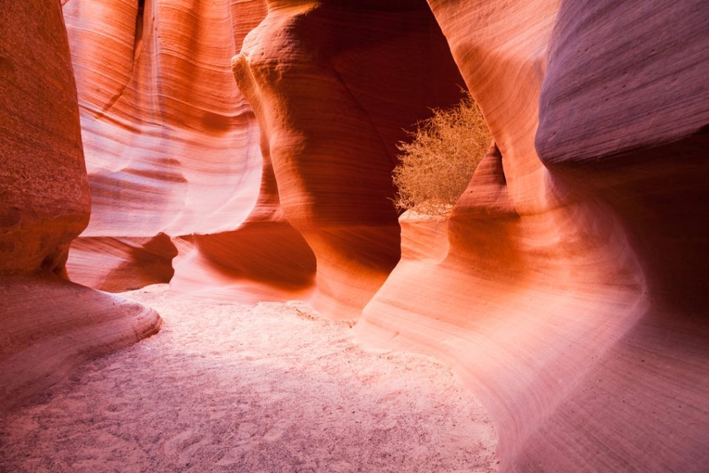 Canyon X schmale Gänge