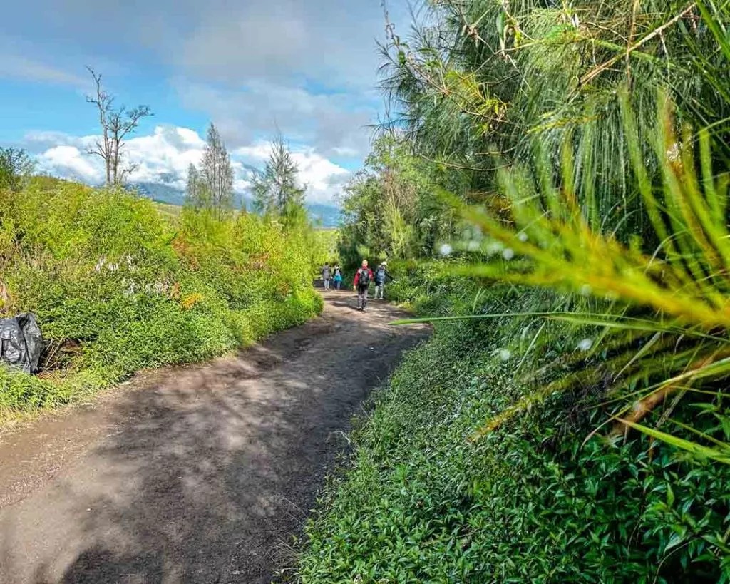 Einfacher Wanderweg zum Ijen Vulkan, Java