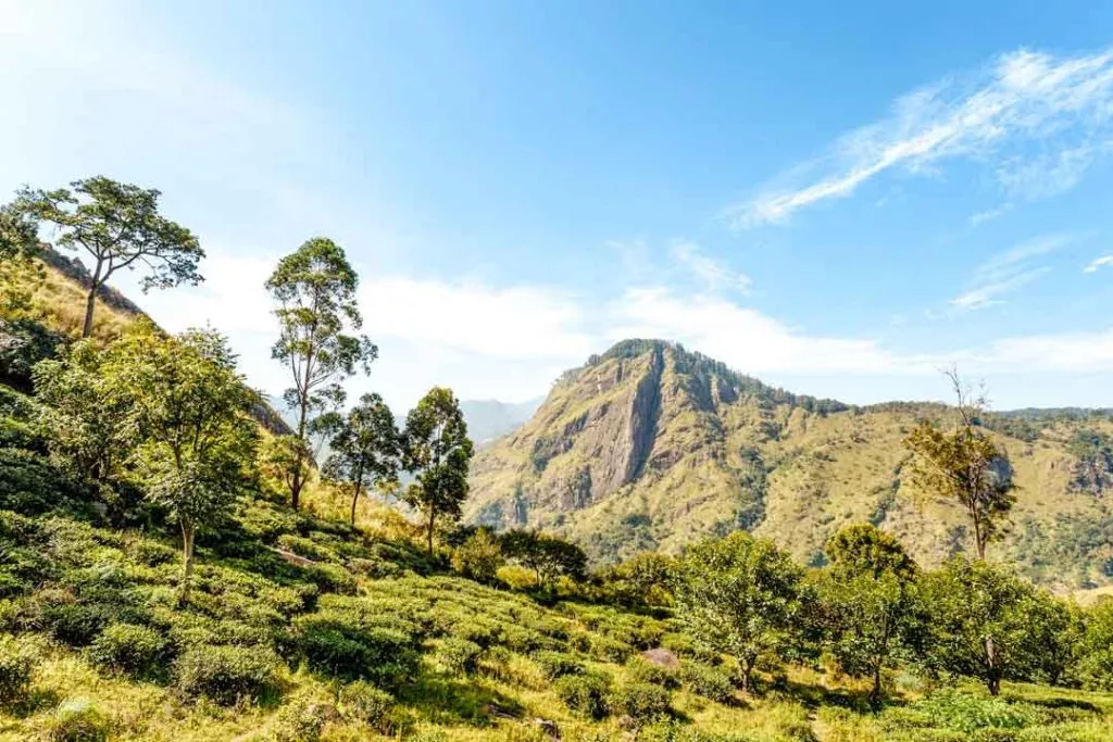 sri lanka ella rock wanderung teeplantagen Sri Lanka Ella Rock Wanderung Teeplantagen