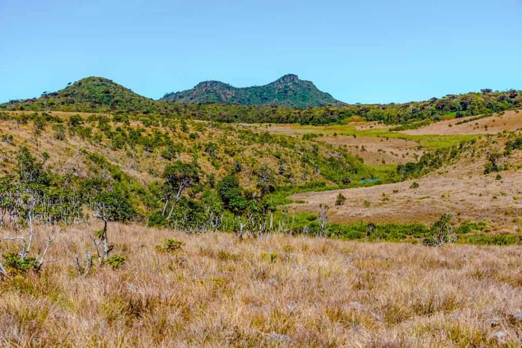 Sri Lanka Horton Plains Nationalpark
