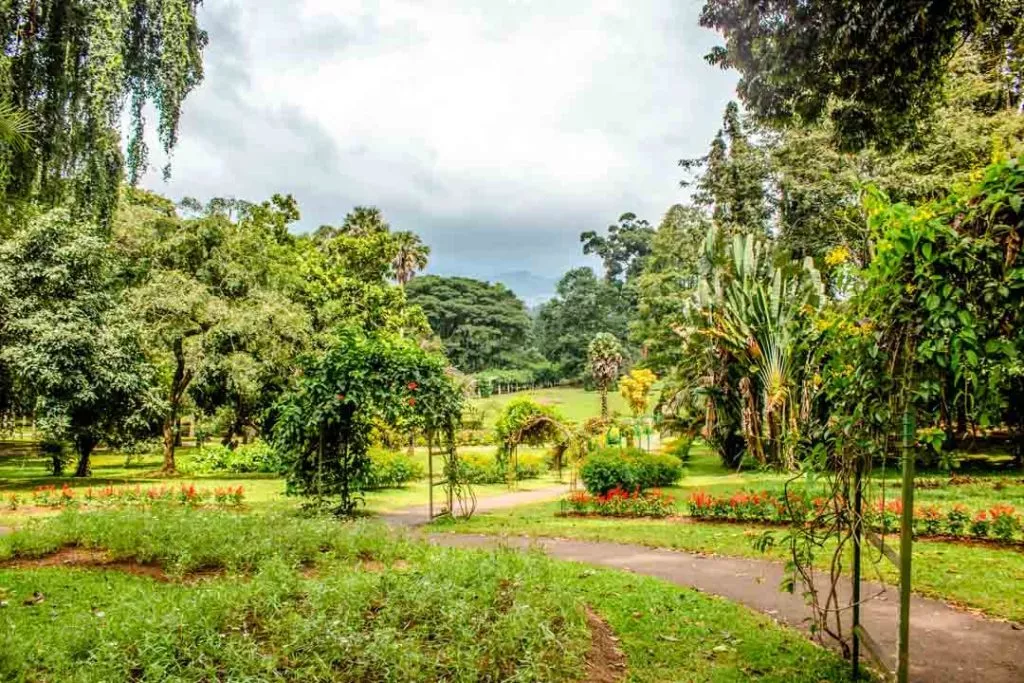 Sri Lanka Kandy Royal Botanical Garden