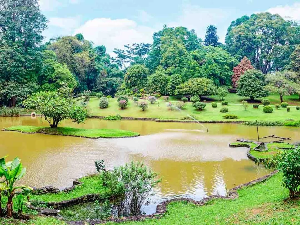 Sri Lanka Kandy See im Royal Botanical Garden