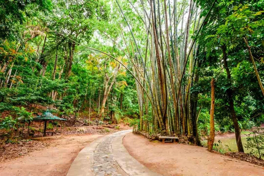 Sri Lanka Kandy Udawatta Kele Sanctuary
