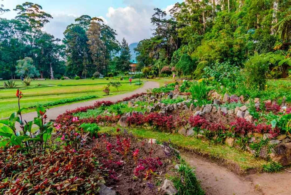 Sri Lanka Nuwara Eliya Victoria Park