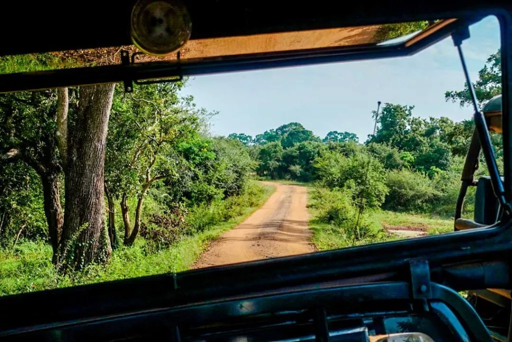 Sri Lanka Yala Nationalpark Foto aus dem Jeep