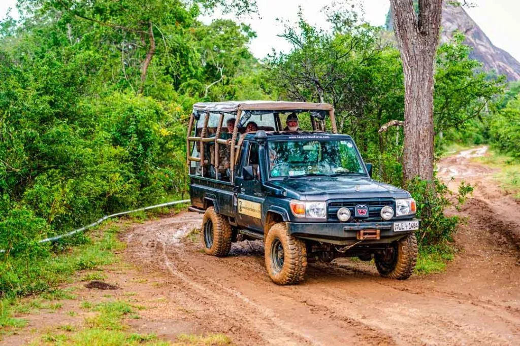 Sri Lanka Yala Nationalpark Jeep