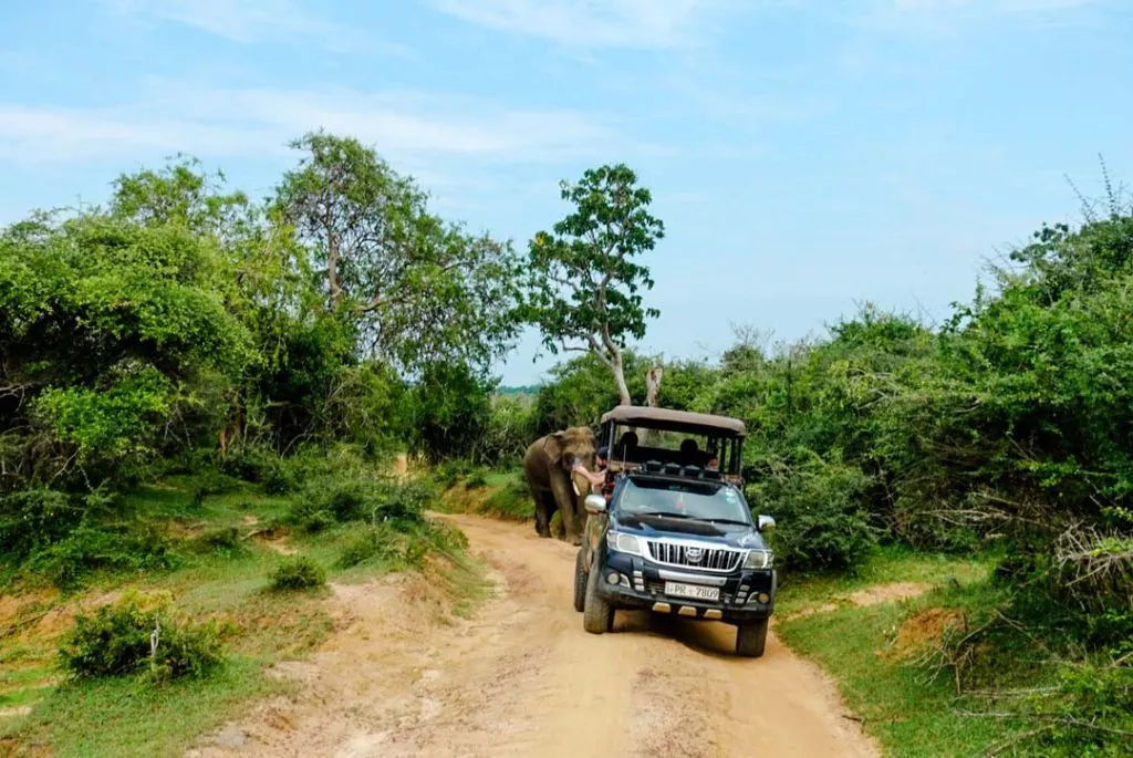 Sri Lanka Yala Nationalpark Jeep mit Elefant