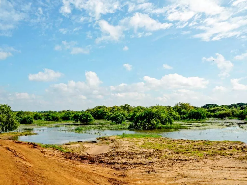 Sri Lanka Yala Nationalpark Landschaft 2