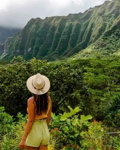 Reise planen lassen von traveloptimizer, Hawaii