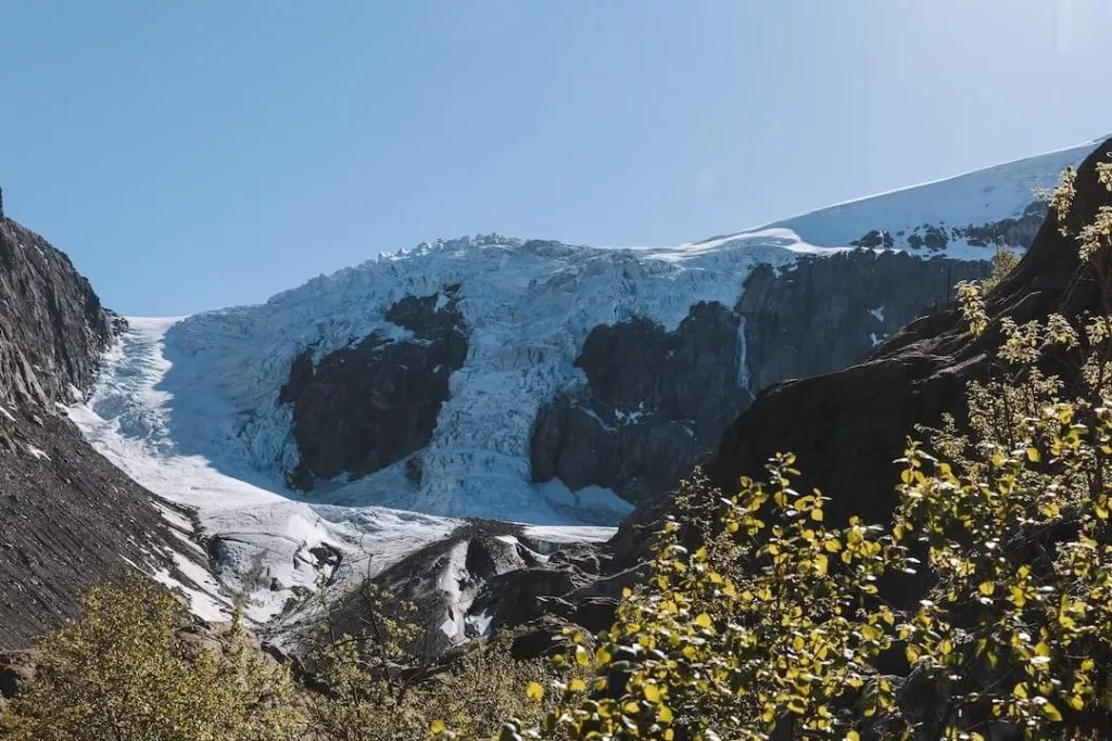 buarbreen gletschereis Buarbreen Gletschereis