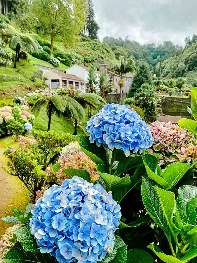 caldeiroes park auf sao miguel azoren Caldeirões-Park auf São Miguel Azoren