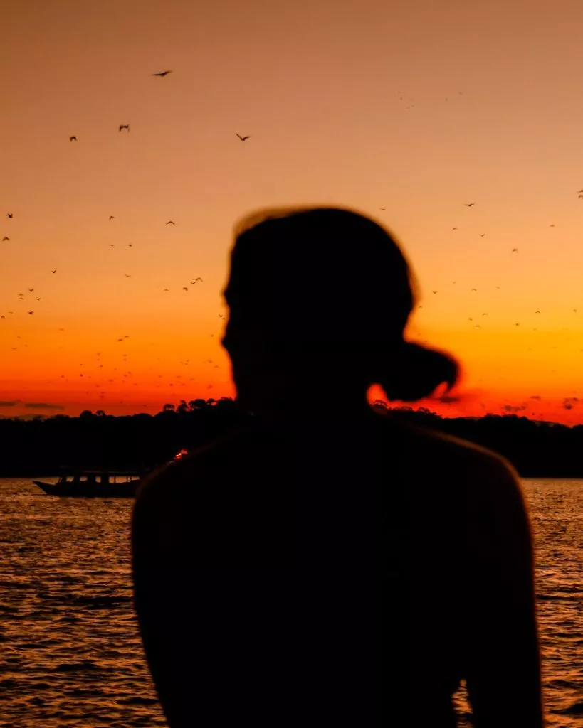 Flughunde beim Sonnenuntergang in Kelor, Komodo Nationalpark
