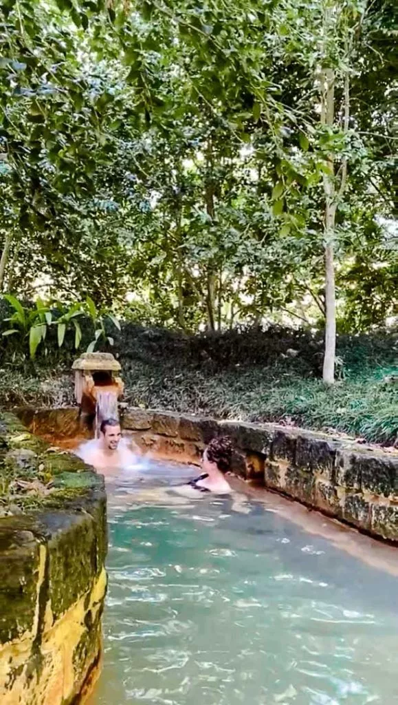 heisse quelle im terra nostra park sao miguel azoren portugal Heiße Quelle im Terra Nostra Park São Miguel Azoren Portugal