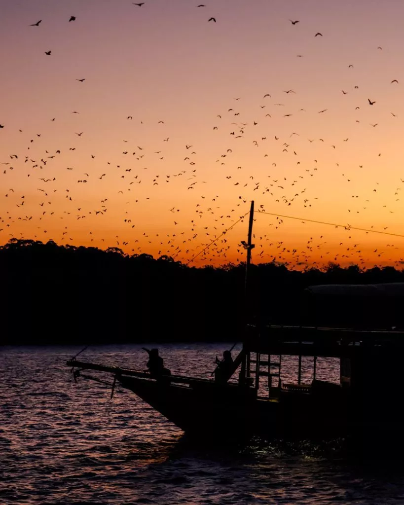 Kelor Komodo Nationalpark in Indonesien