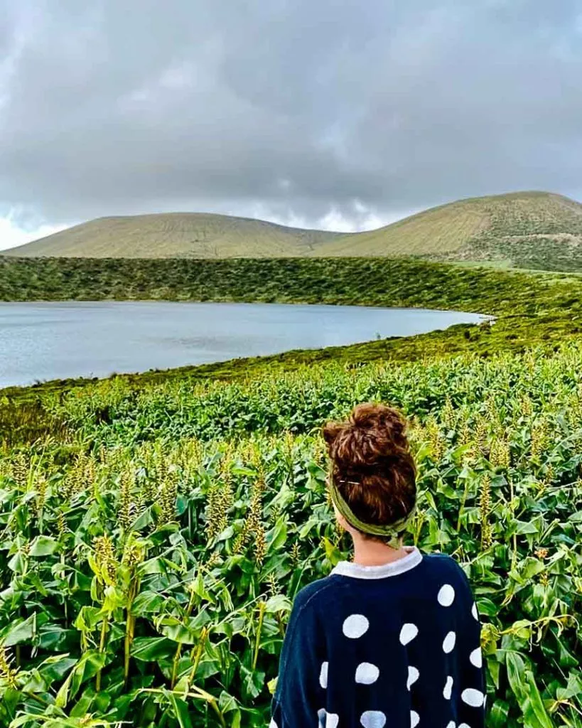 miradouro da caldeira negra e da caldeira comprida flores azoren Miradouro da Caldeira Negra e da Caldeira Comprida Flores Azoren