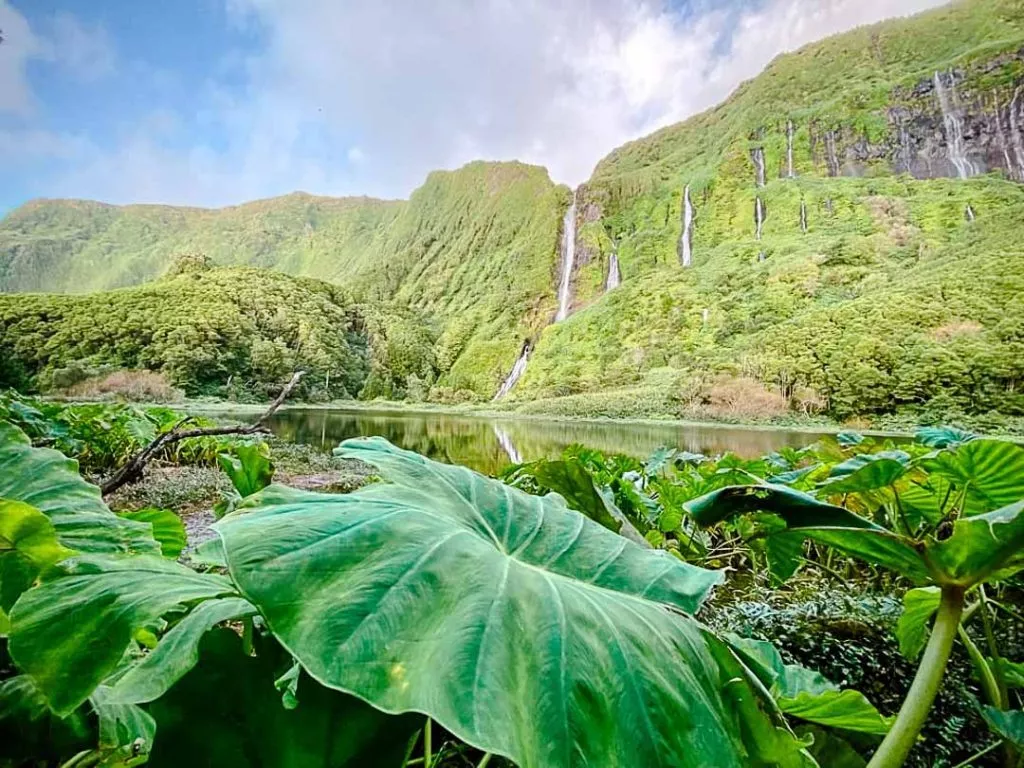 poco da ribeira do ferreiro flores azoren Poço da Ribeira do Ferreiro Flores Azoren