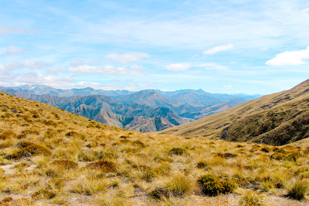 queenstown neuseeland sehenswuerdigkeiten aussicht waehrend der wanderung zum ben lomond Queenstown, Neuseeland, Sehenswürdigkeiten, Aussicht während der Wanderung zum Ben Lomond