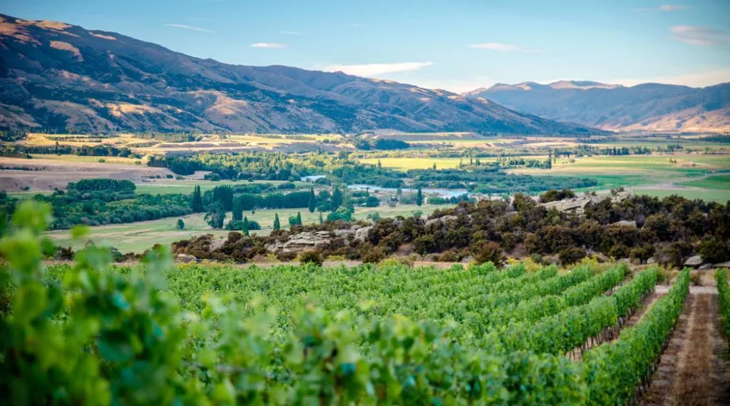 queenstown neuseeland sehenswuerdigkeiten weinregion central otago Queenstown, Neuseeland, Sehenswürdigkeiten, Weinregion Central Otago