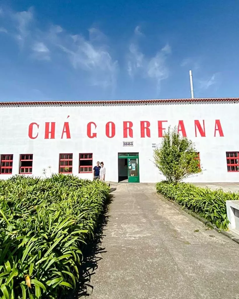 teeplantage cha gorreana auf sao miguel azoren Teeplantage Cha Gorreana auf São Miguel Azoren