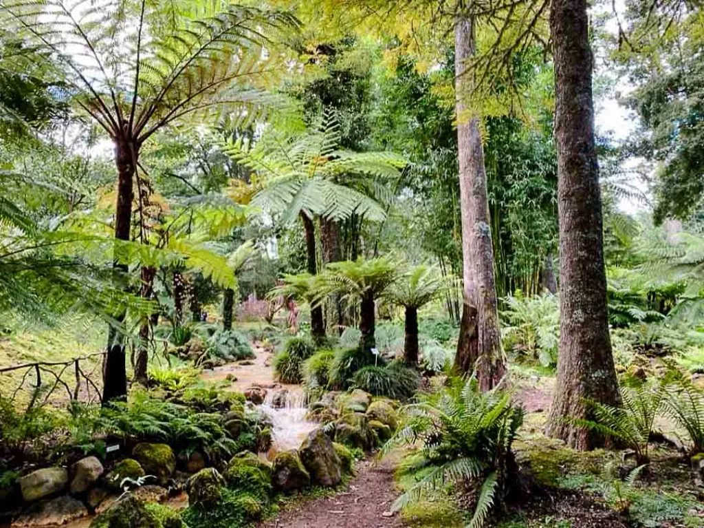 terra nostra park sao miguel azoren portugal Terra Nostra Park São Miguel Azoren Portugal
