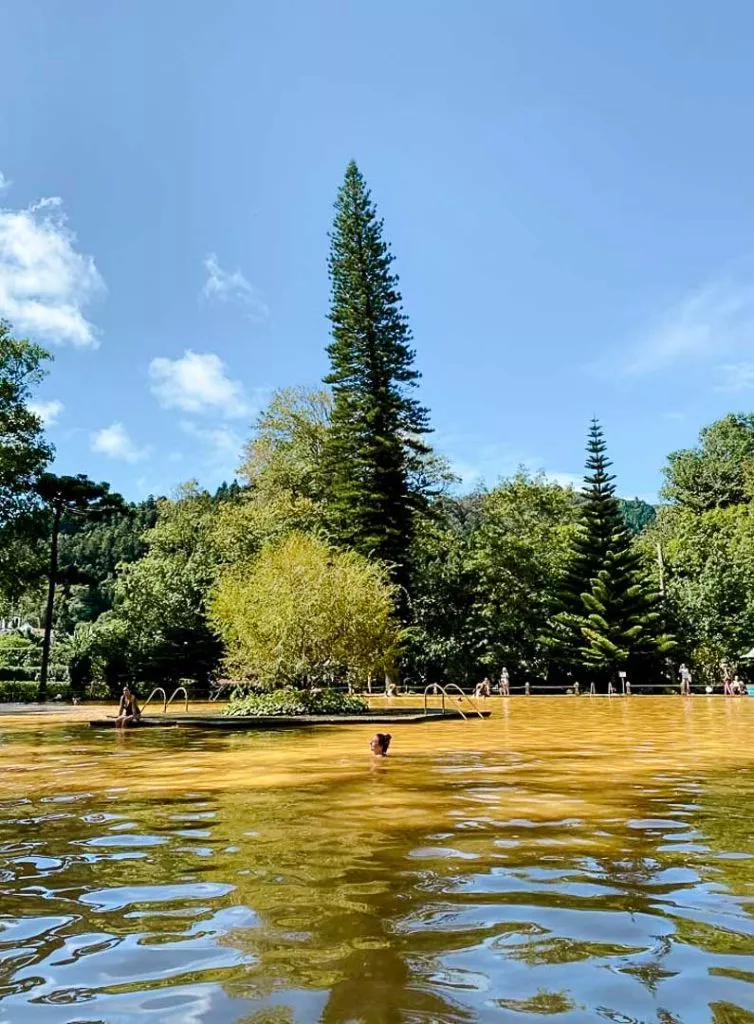 thermalbacken im terra nostra park sao miguel azoren portugal Thermalbacken im Terra Nostra Park São Miguel Azoren Portugal