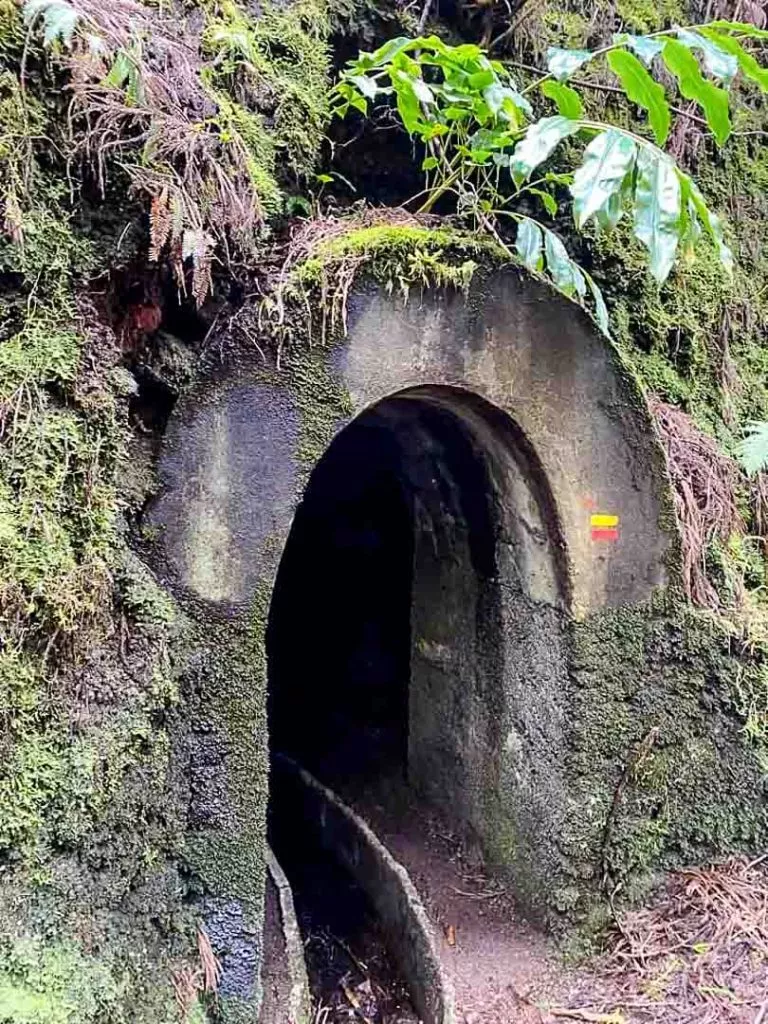 tunnel bei der wanderung levada faial azoren Tunnel bei der Wanderung Levada Faial Azoren