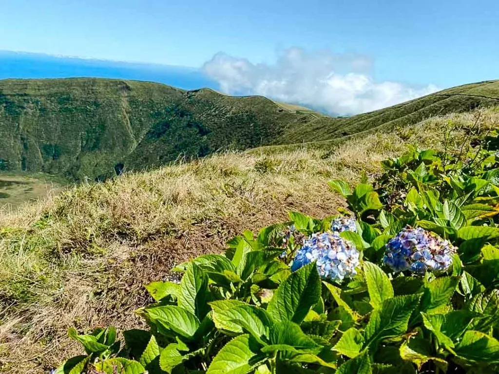 wanderung auf der caldeira faial azoren Wanderung auf der Caldeira Faial Azoren