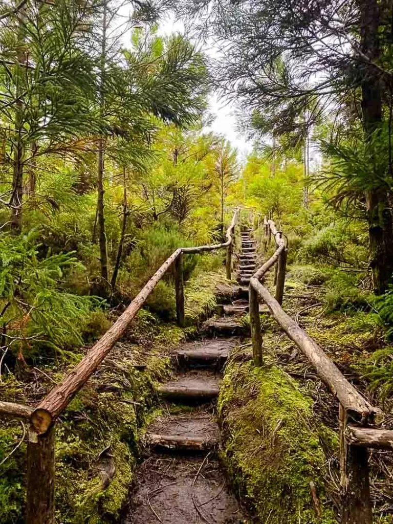 wanderung misterios negros terceira azoren 2 Wanderung Mistérios Negros Terceira Azoren