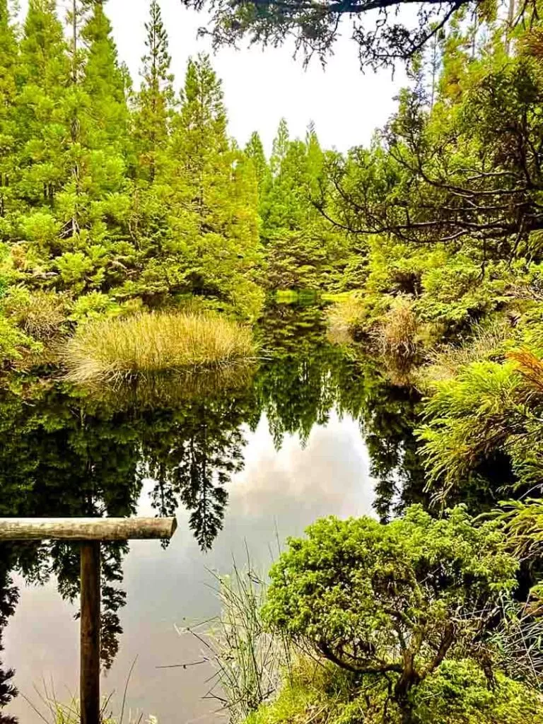 wanderung misterios negros terceira azoren Wanderung Mistérios Negros Terceira Azoren