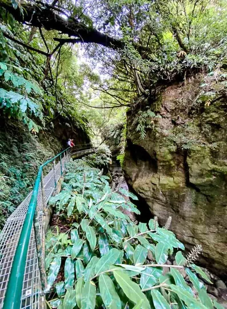 wanderung ueber rohre zum salto do cabrito sao miguel azoren portugal Wanderung über Rohre zum Salto do Cabrito São Miguel Azoren Portugal
