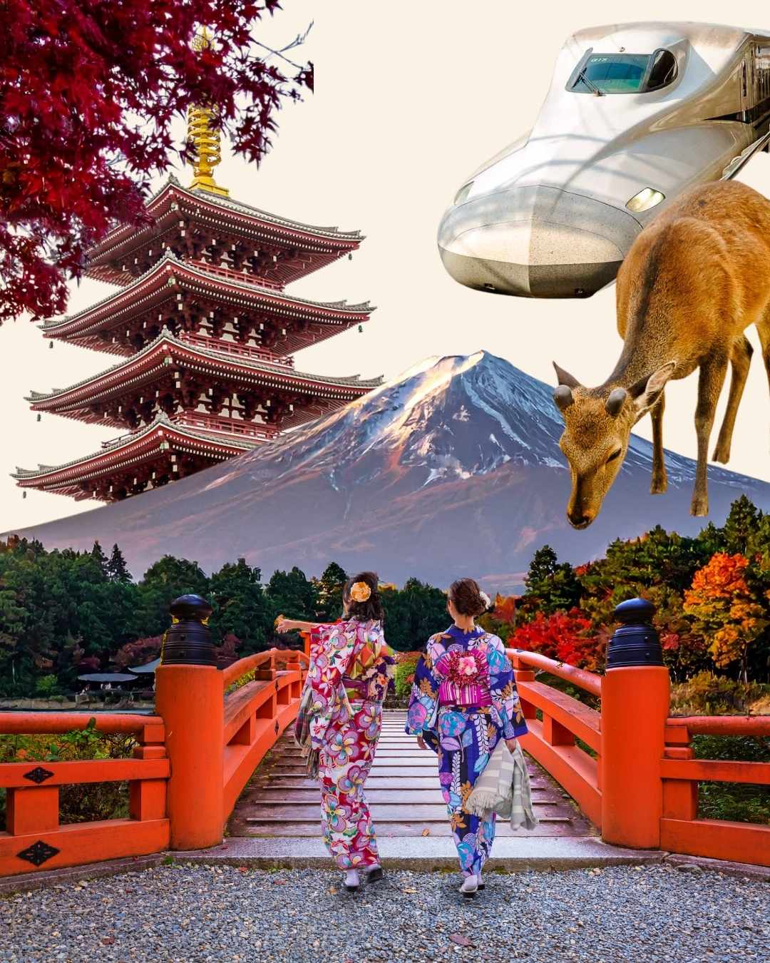 Japan Widget Reiseberatung 1