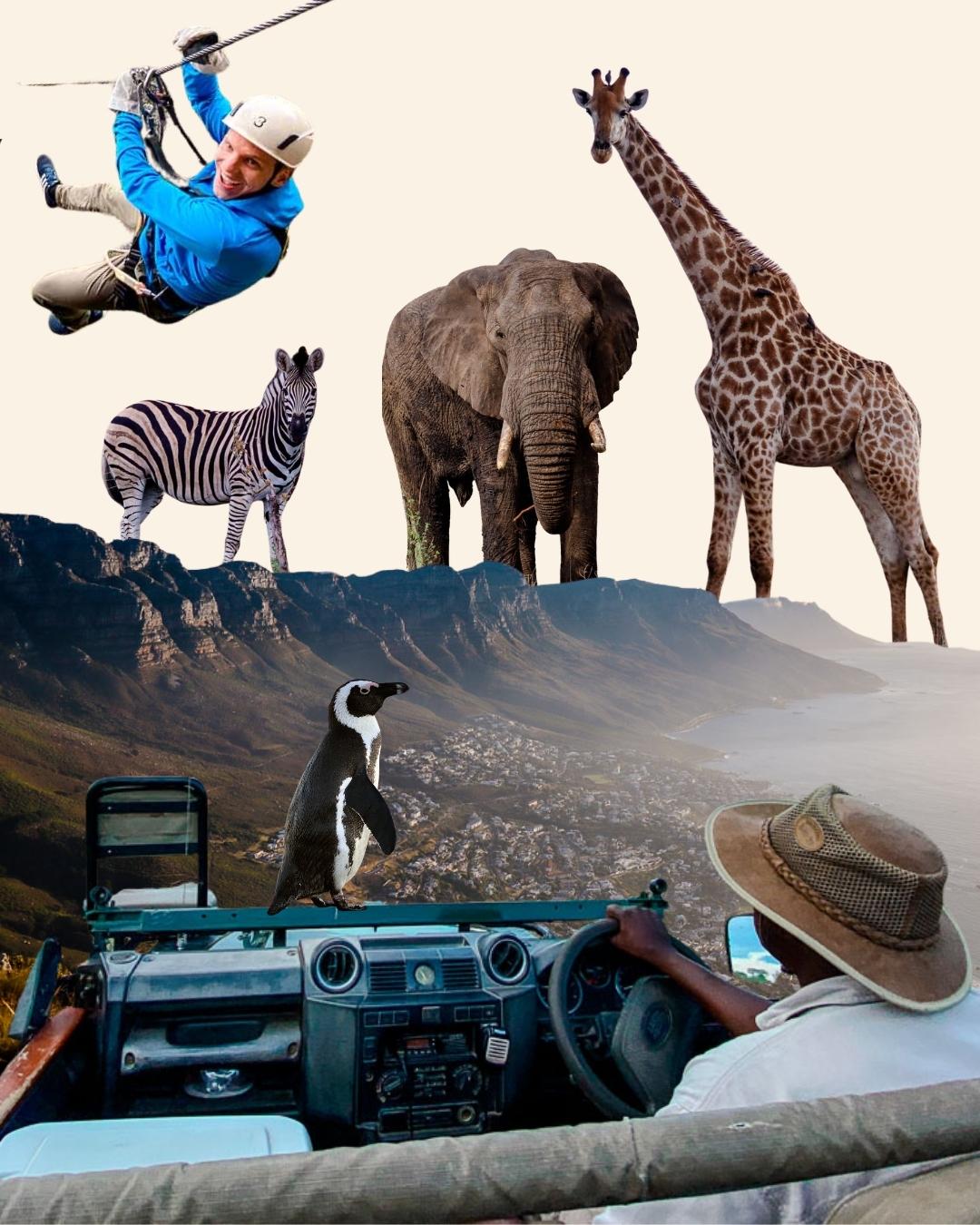 Suedafrika Widget Reiseberatung