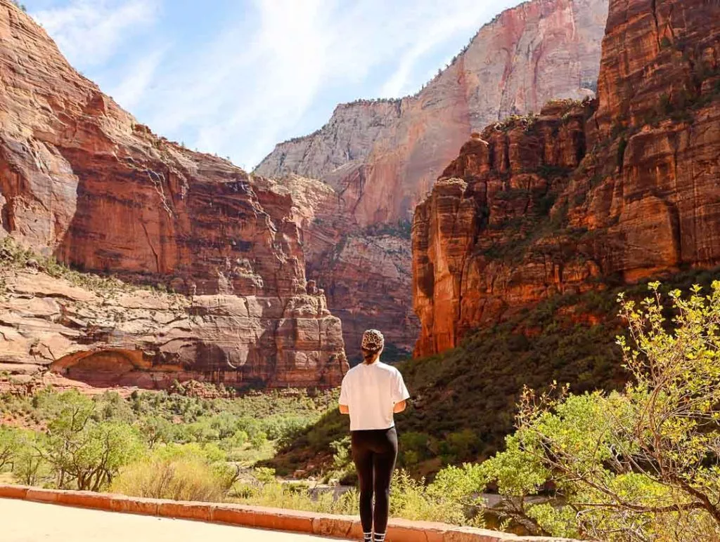 ausblick vom big bend haltestopp im zion Ausblick vom Big Bend Haltestopp im Zion