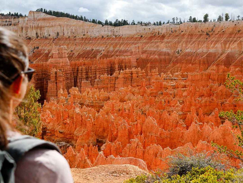 bryce canyon nationalpark rim trail Bryce Canyon Nationalpark, Rim Trail
