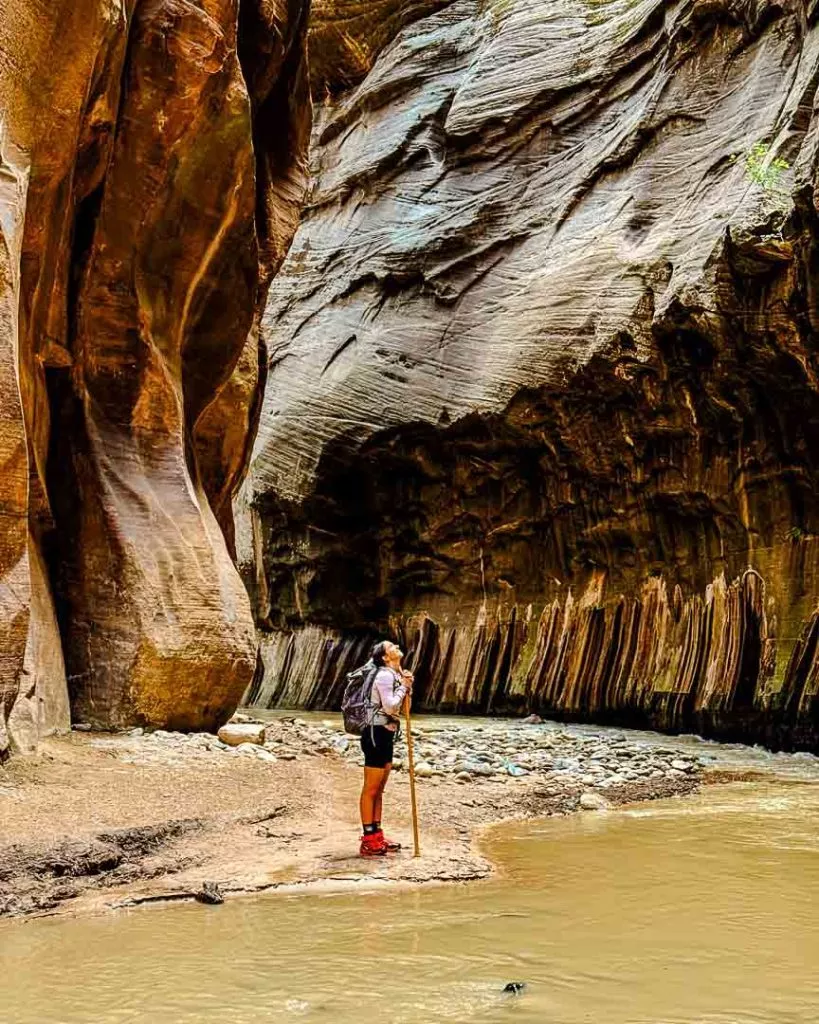 enge felsschlucht bei narrows wanderung im zion nationalpark utah enge Felsschlucht bei Narrows Wanderung im Zion Nationalpark, Utah