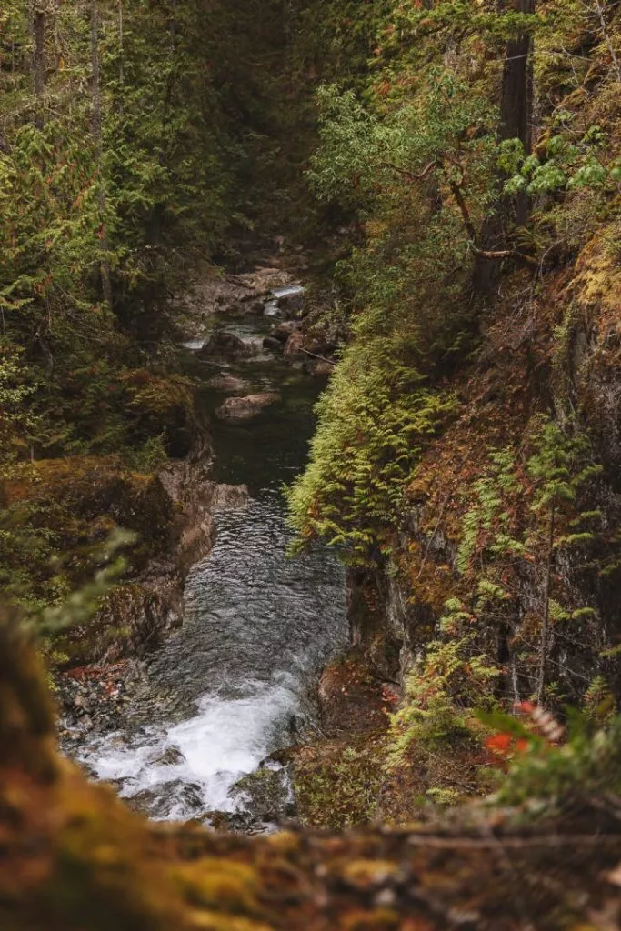 little qualicum falls vancouver island kanada Little Qualicum Falls Vancouver Island Kanada