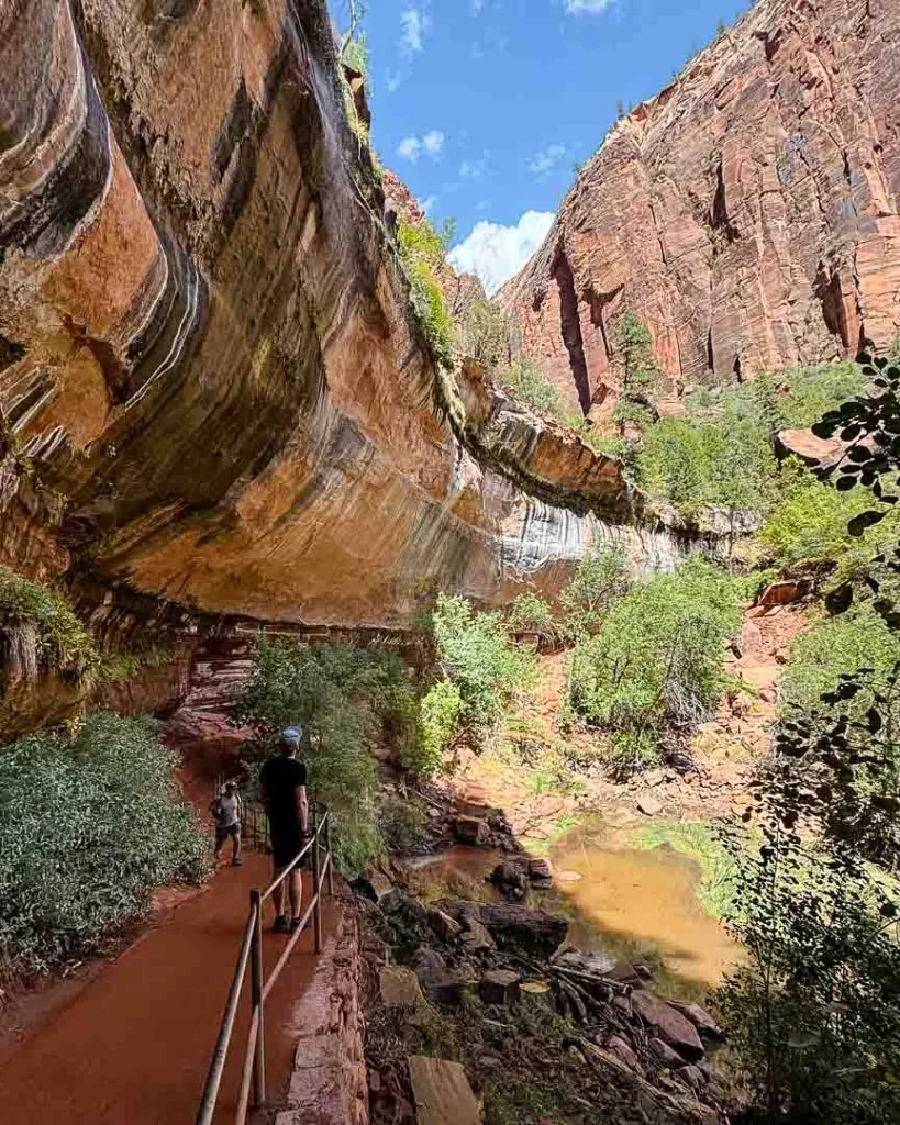 lower emerald pool zion nationalpark Lower Emerald Pool, Zion Nationalpark