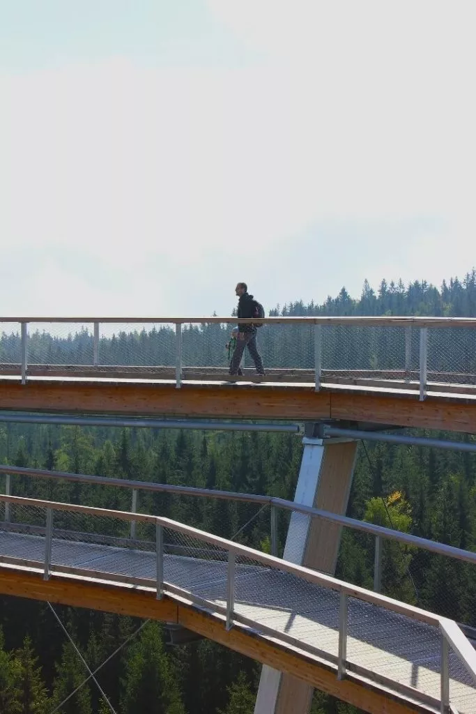 mahlaht skywalk vancouver island kanada Mahlaht Skywalk Vancouver Island Kanada