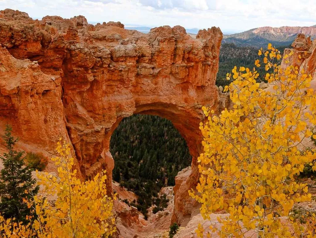 natural bridge beim scenic southern drive bryce canyon Natural Bridge beim Scenic Southern Drive Bryce Canyon