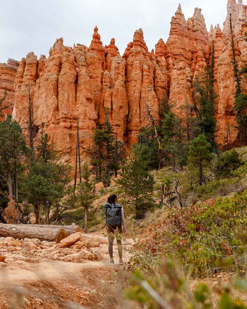 utah bryce canyon 43 von 163 utah bryce canyon 43 von 163
