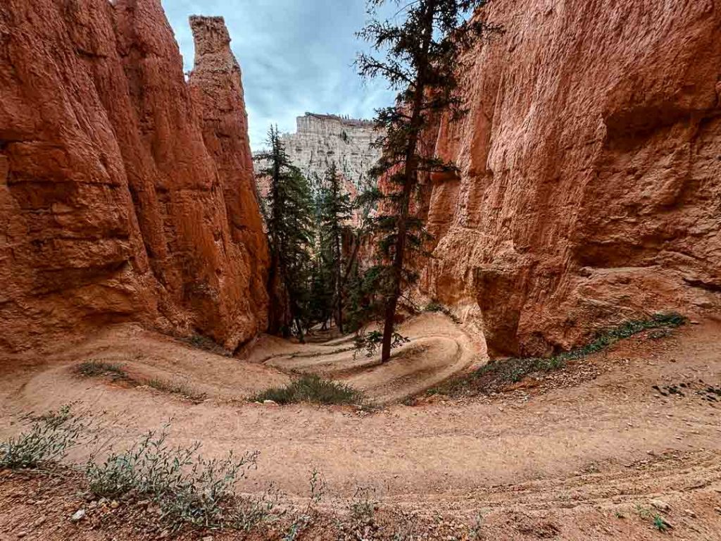 utah bryce canyon 60 von 163 utah bryce canyon 60 von 163