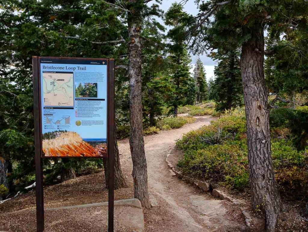 wanderung zwischen pinienbaeumen im bryce canyon nationalpark Wanderung zwischen Pinienbäumen im Bryce Canyon Nationalpark