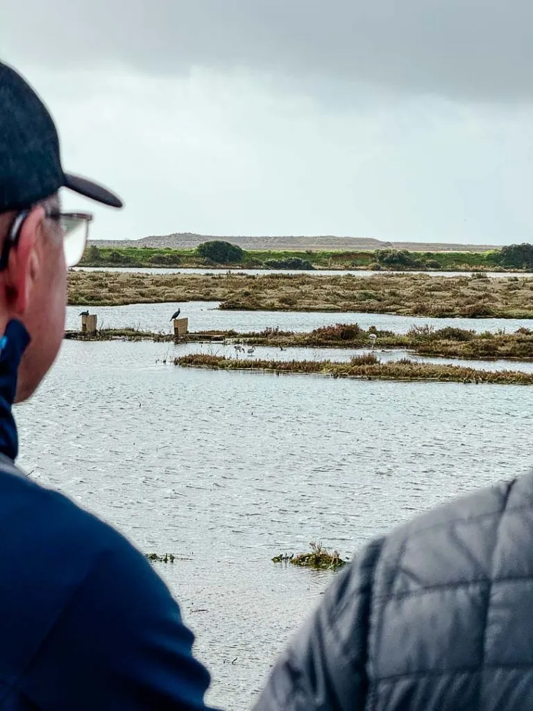 algarve 2025 184 von 297 Feuchtgebiet Ria Alvor, Algarve