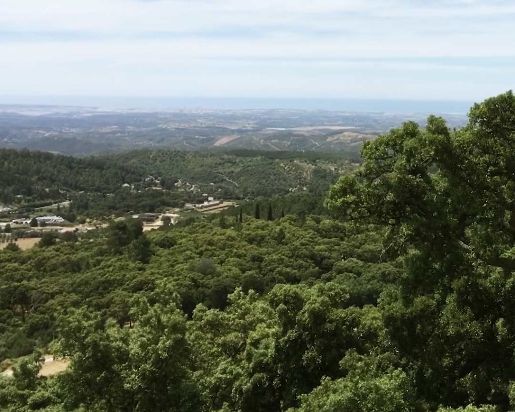 aussichtspunkt foia im monchique gebirge Aussichtspunkt Fóia im Monchique Gebirge