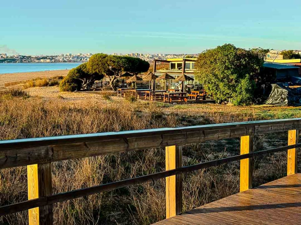 meia praia strand in lagos 2 Meia Praia Strand in Lagos