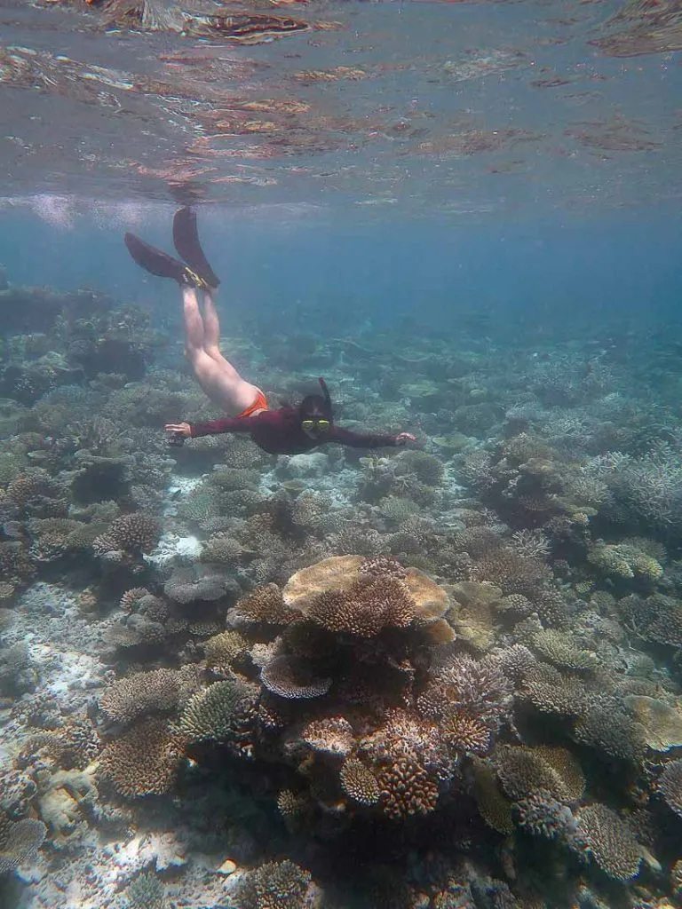dhigurah schnorcheltour wunderschoene riffe auf den malediven 2 Dhigurah Schnorcheltour, wunderschöne Riffe auf den Malediven