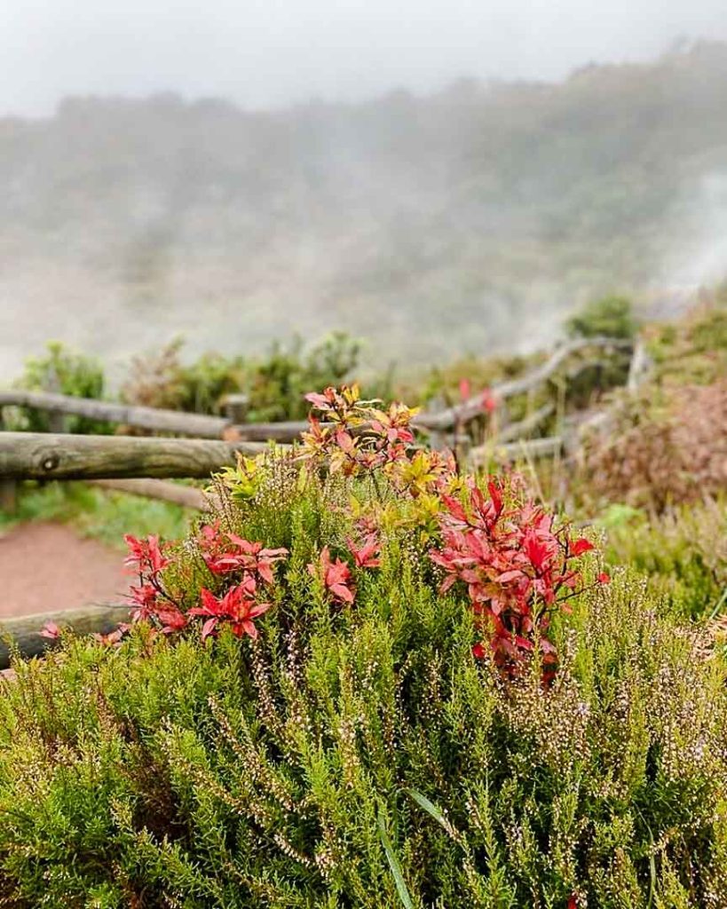 furnas do enxofre terceira azoren portugal 2 Furnas do Enxofre Terceira Azoren Portugal