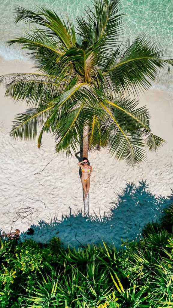 hanging palm auf dhigurah malediven Hanging Palm auf Dhigurah, Malediven