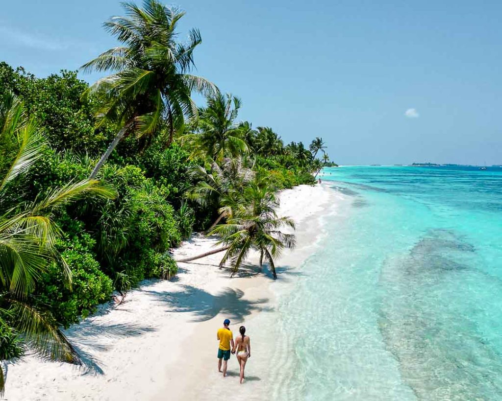 hanging palm tree beim bikini beach auf dhigurah Hanging Palm Tree beim Bikini Beach auf Dhigurah
